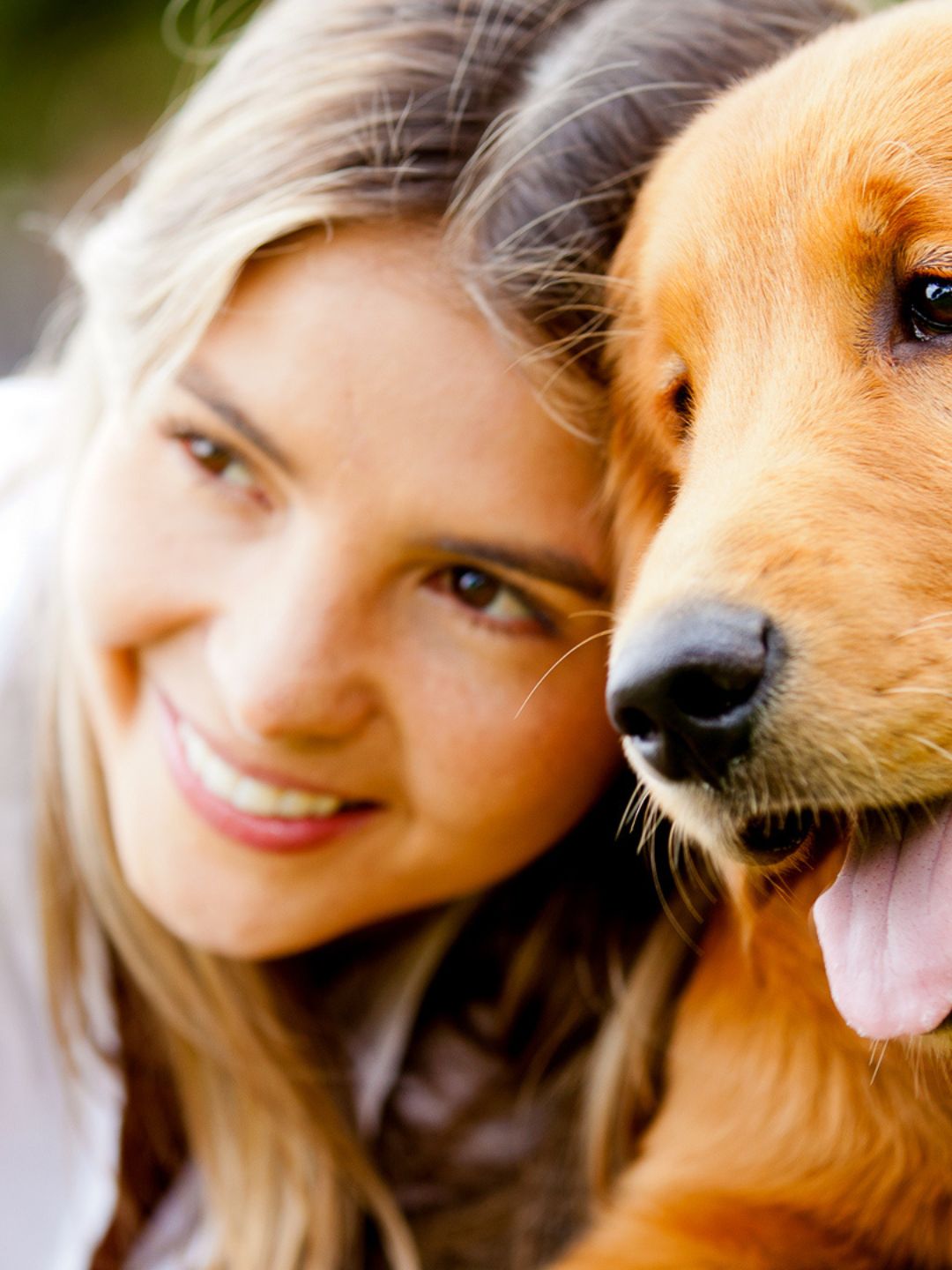 Cachorros vão para o Céu